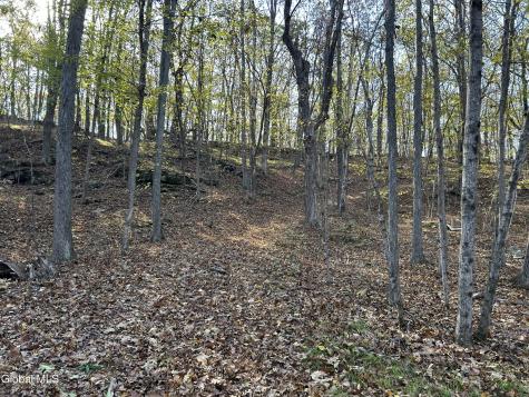 L31 Gulf Hill Road East Berne NY 12059