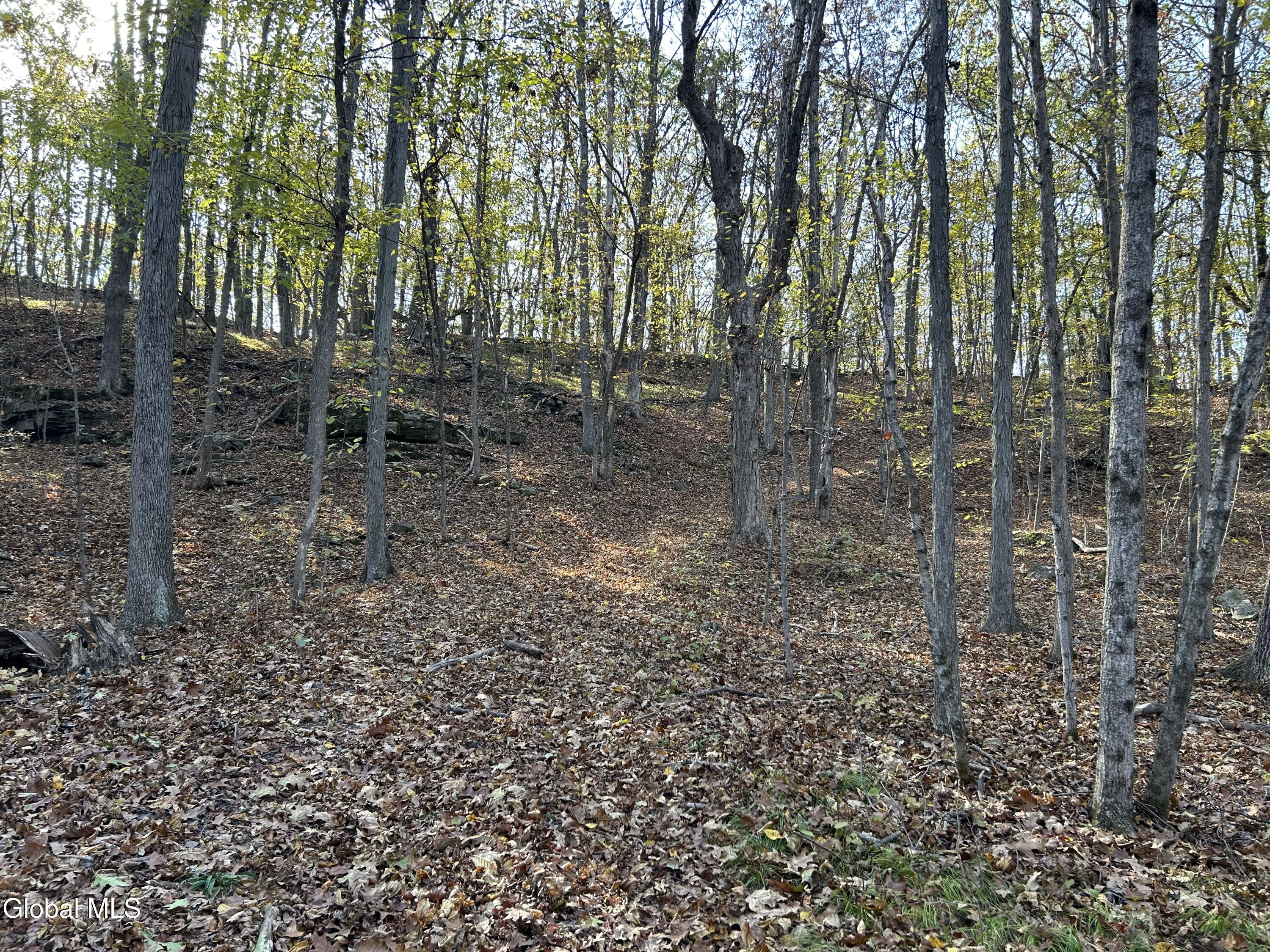L31 Gulf Hill Road East Berne NY 12059