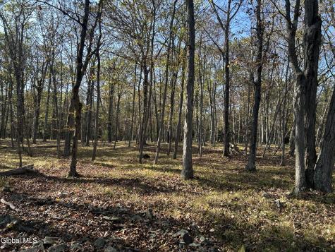 L31 Gulf Hill Road East Berne NY 12059