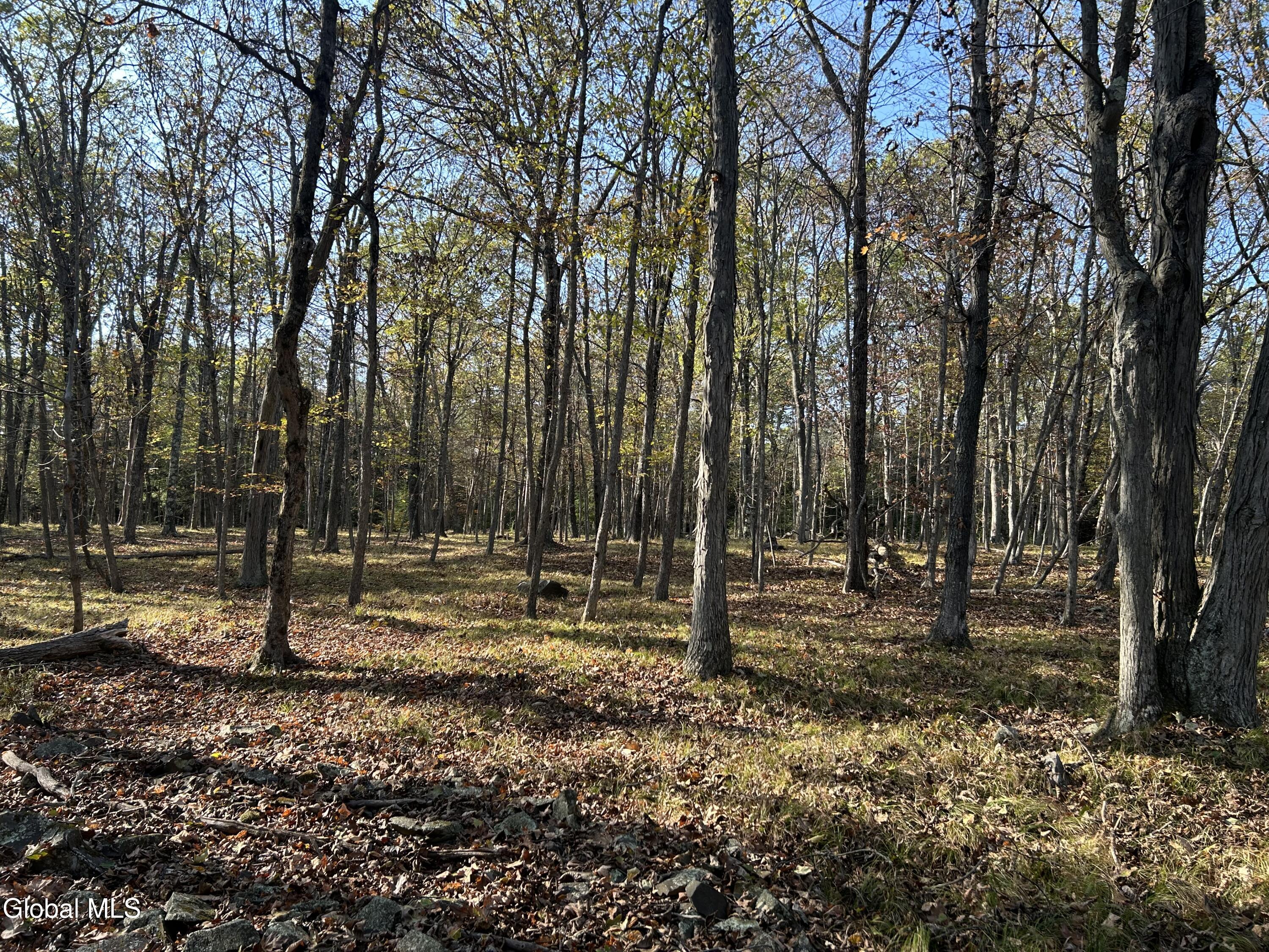L31 Gulf Hill Road East Berne NY 12059