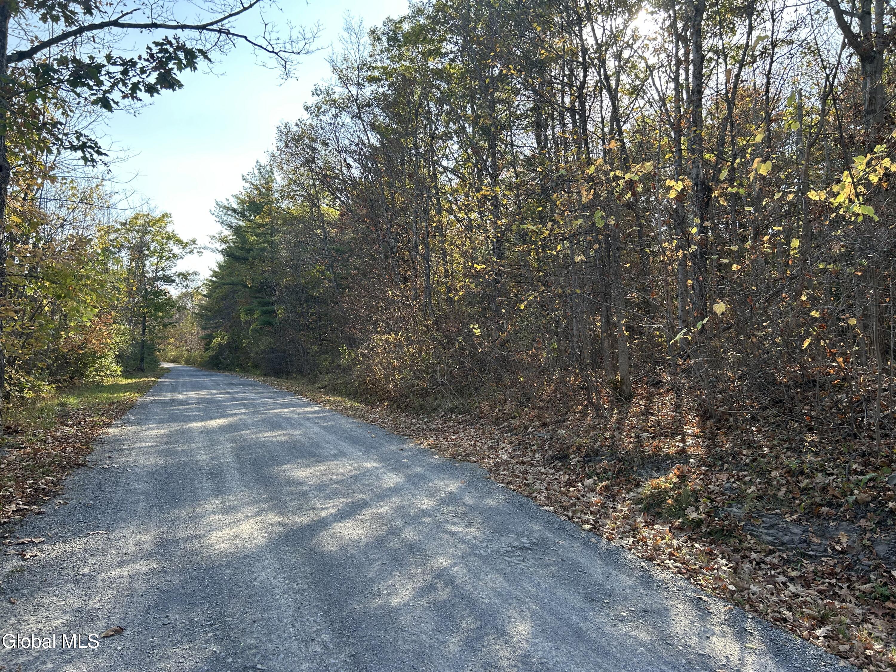 L31 Gulf Hill Road East Berne NY 12059