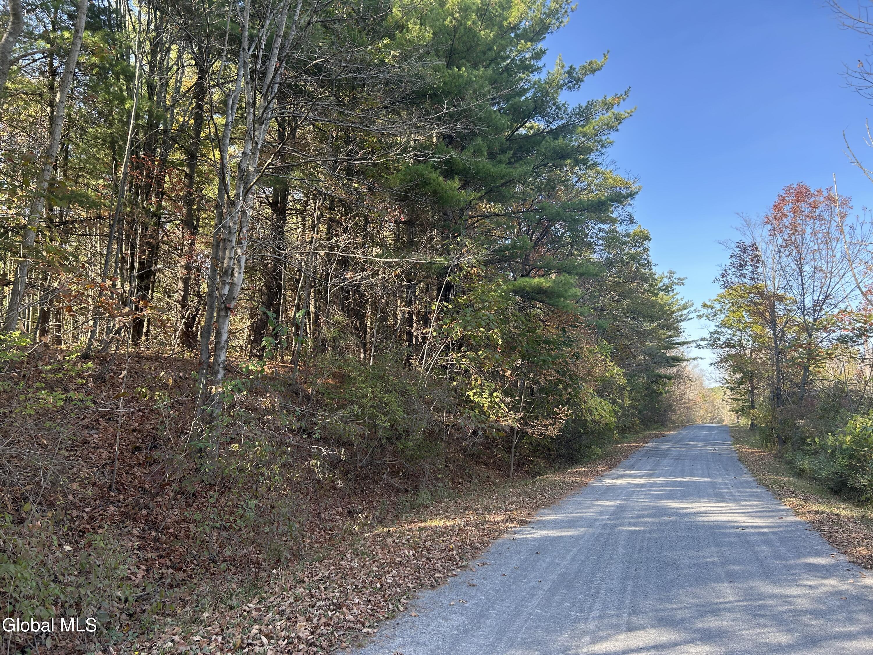 L31 Gulf Hill Road East Berne NY 12059