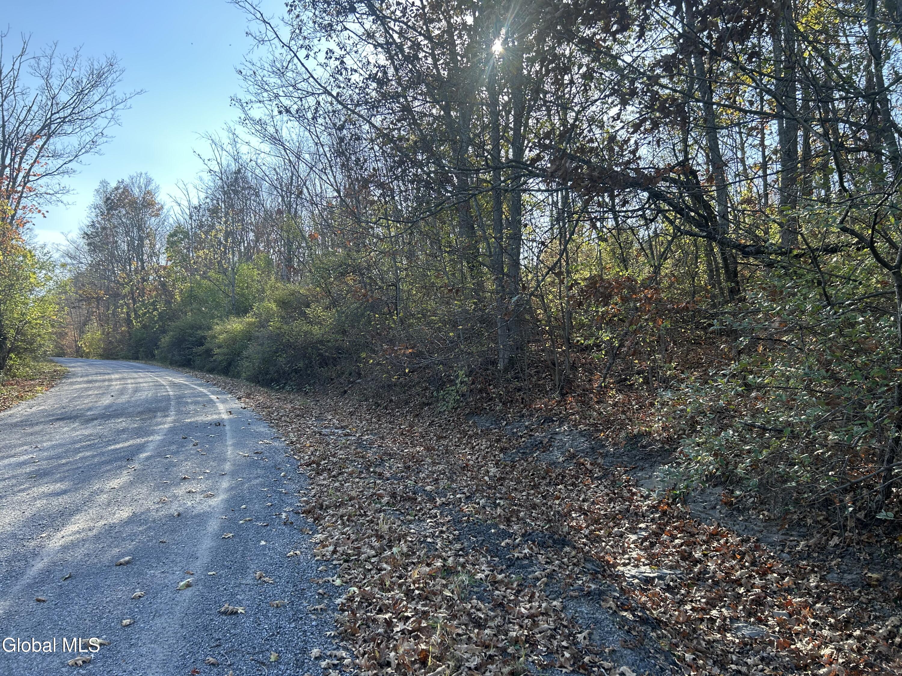 L31 Gulf Hill Road East Berne NY 12059