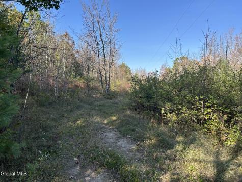 L31 Gulf Hill Road East Berne NY 12059