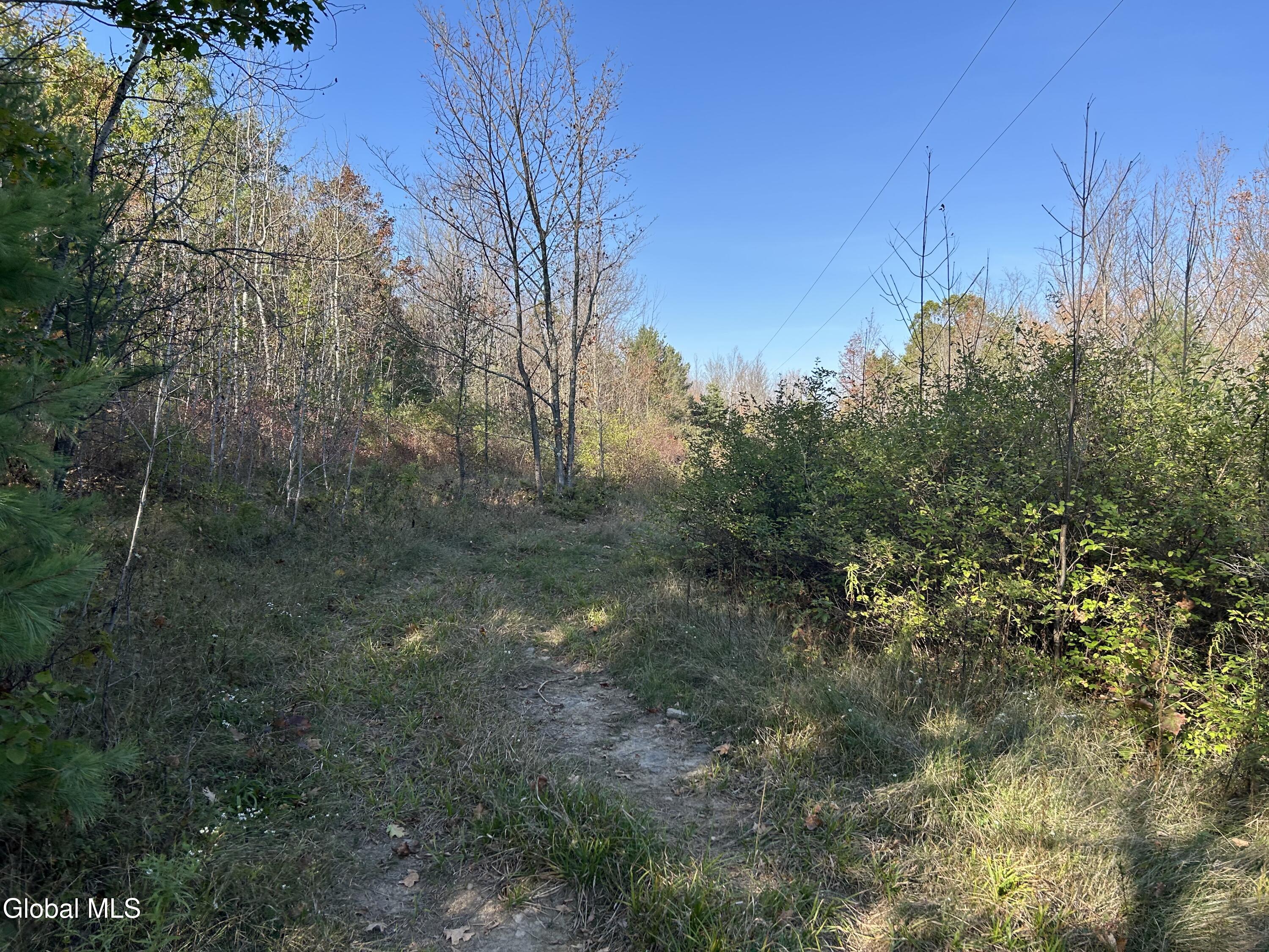L31 Gulf Hill Road East Berne NY 12059