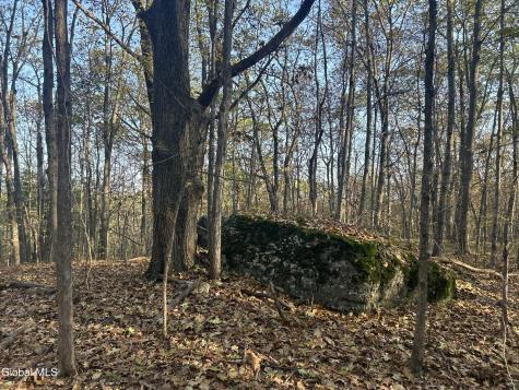 L31 Gulf Hill Road East Berne NY 12059