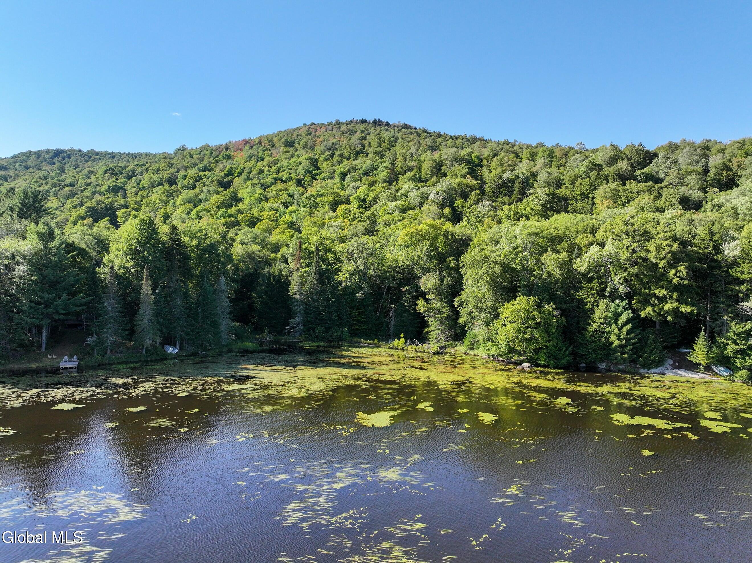 427 Woodys Road Newcomb NY 12852