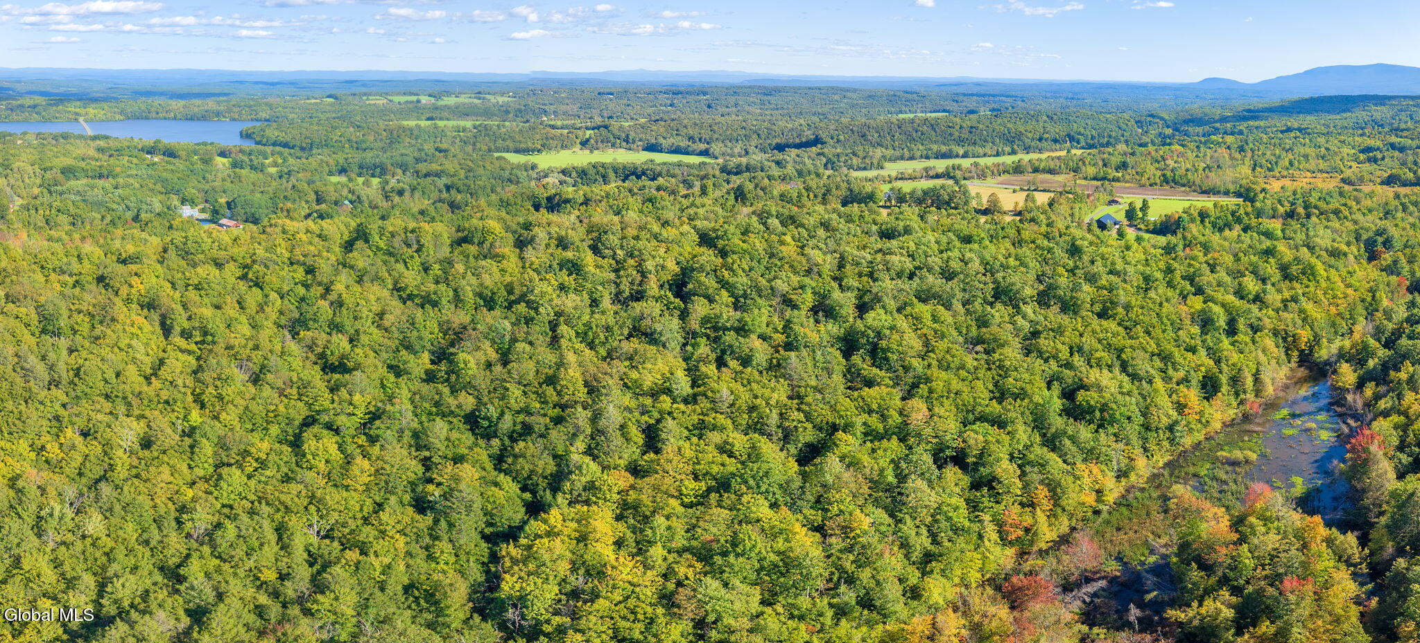 L.18.11 County Road 404 Westerlo NY 12193