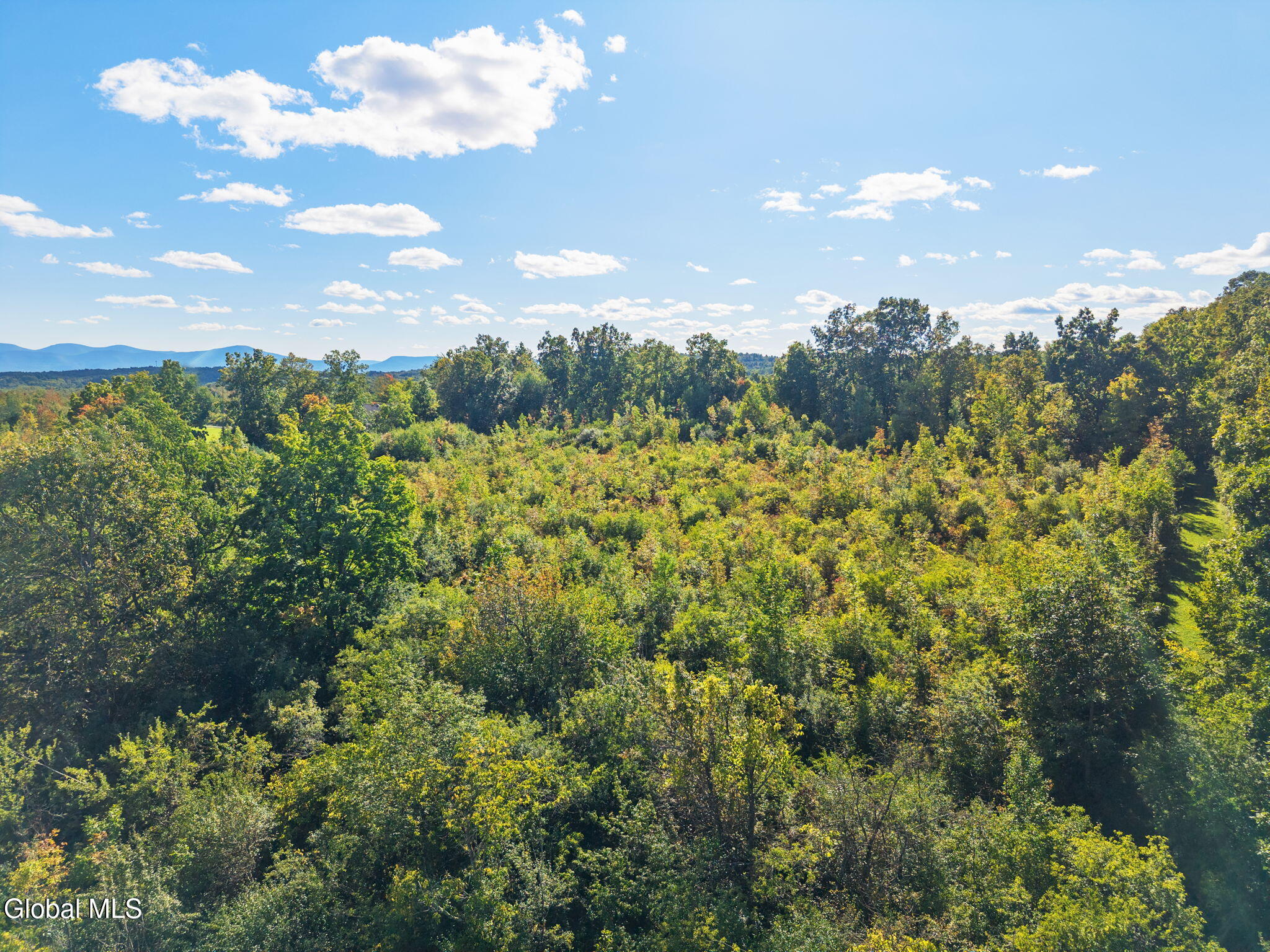 L.18.11 County Road 404 Westerlo NY 12193