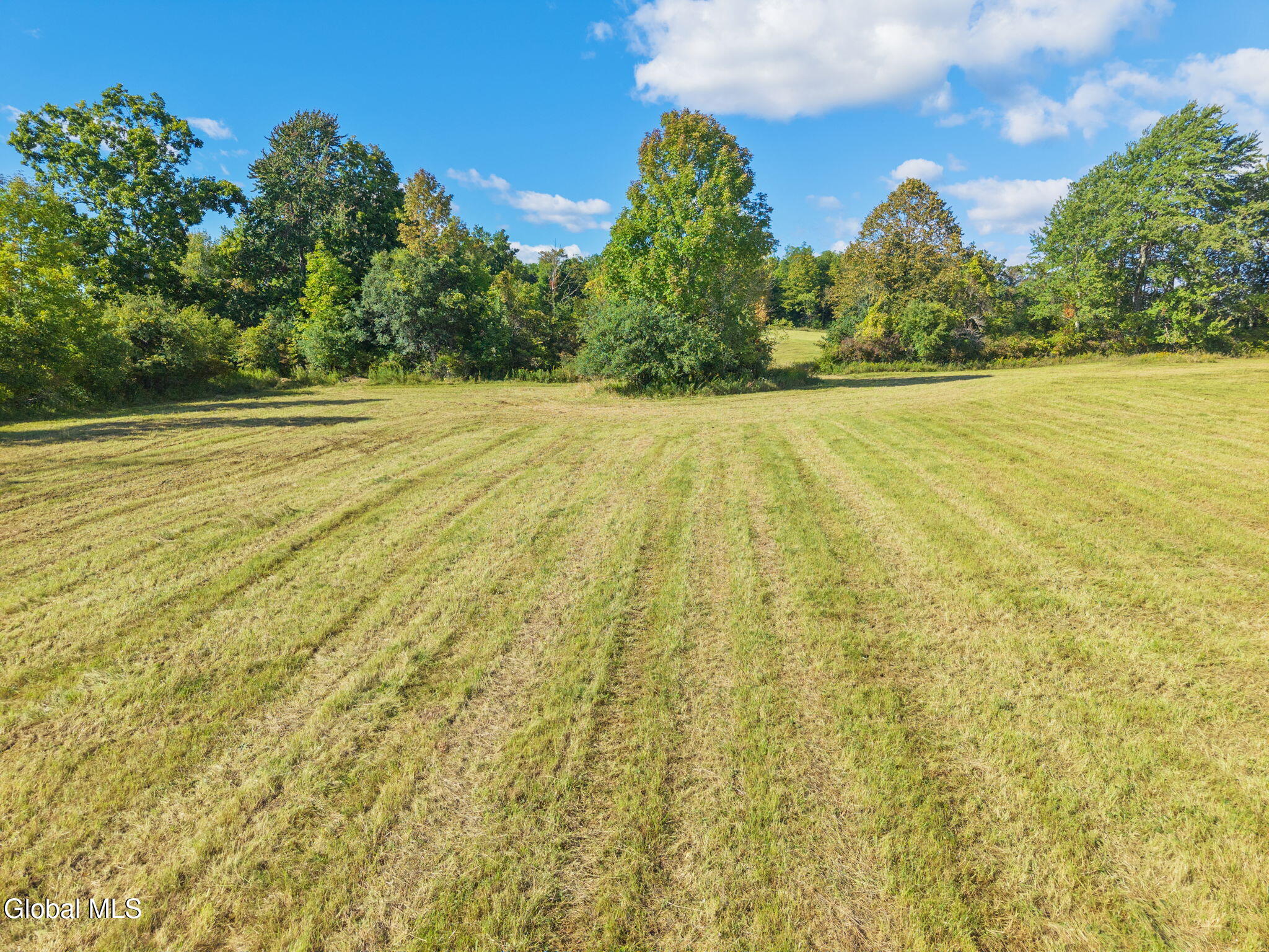 L.18.11 County Road 404 Westerlo NY 12193