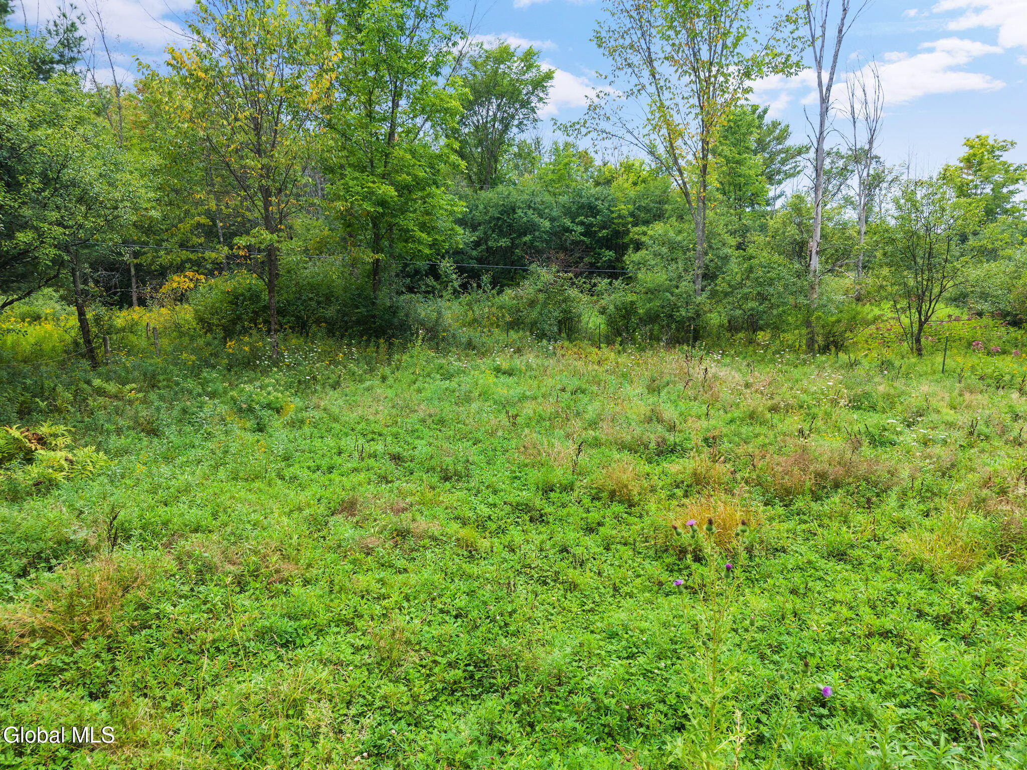 165 Cleveland Road Sloansville NY 12031