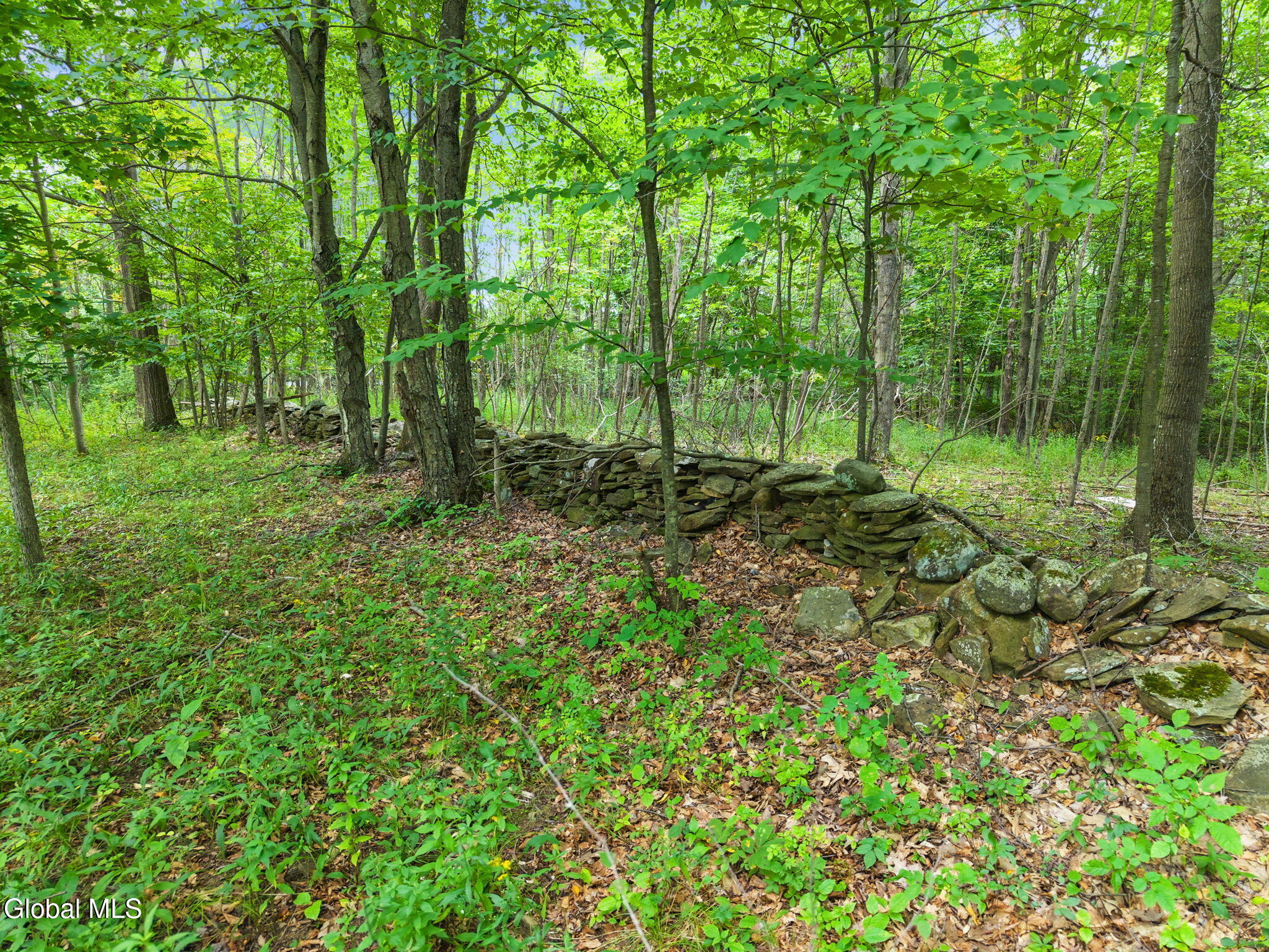 165 Cleveland Road Sloansville NY 12031