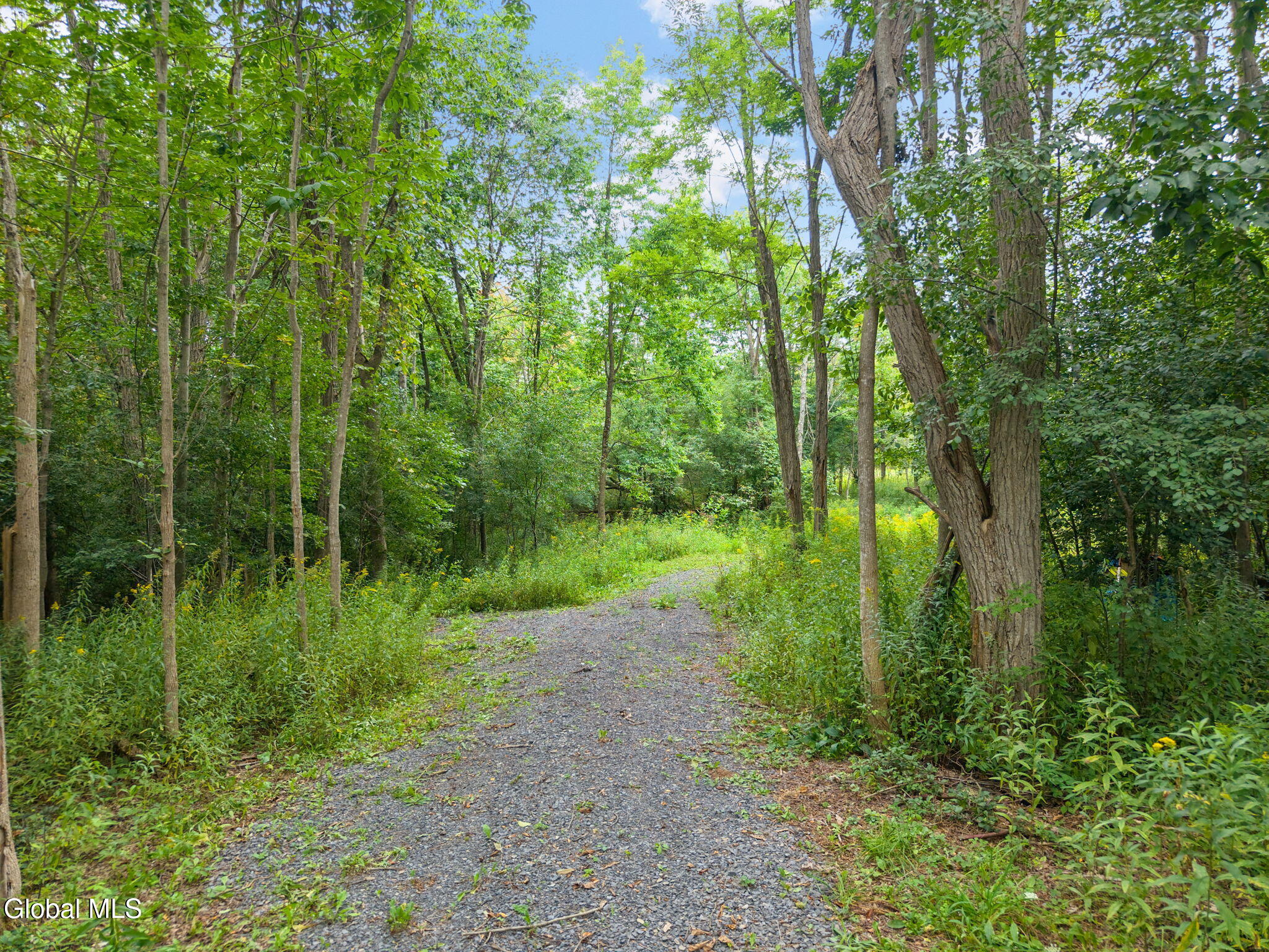 165 Cleveland Road Sloansville NY 12031