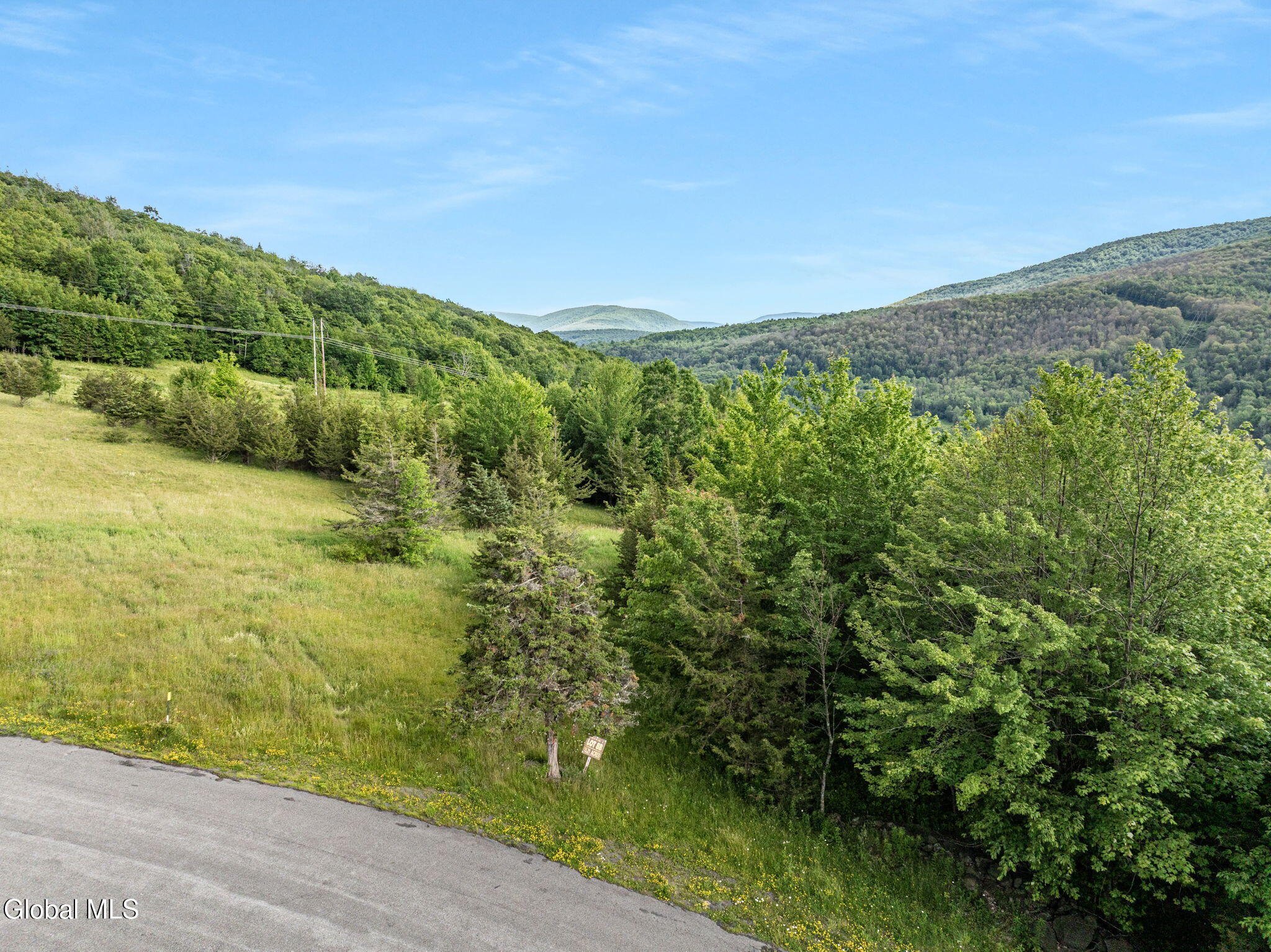 L29 Route 2 Prattsville NY 12452
