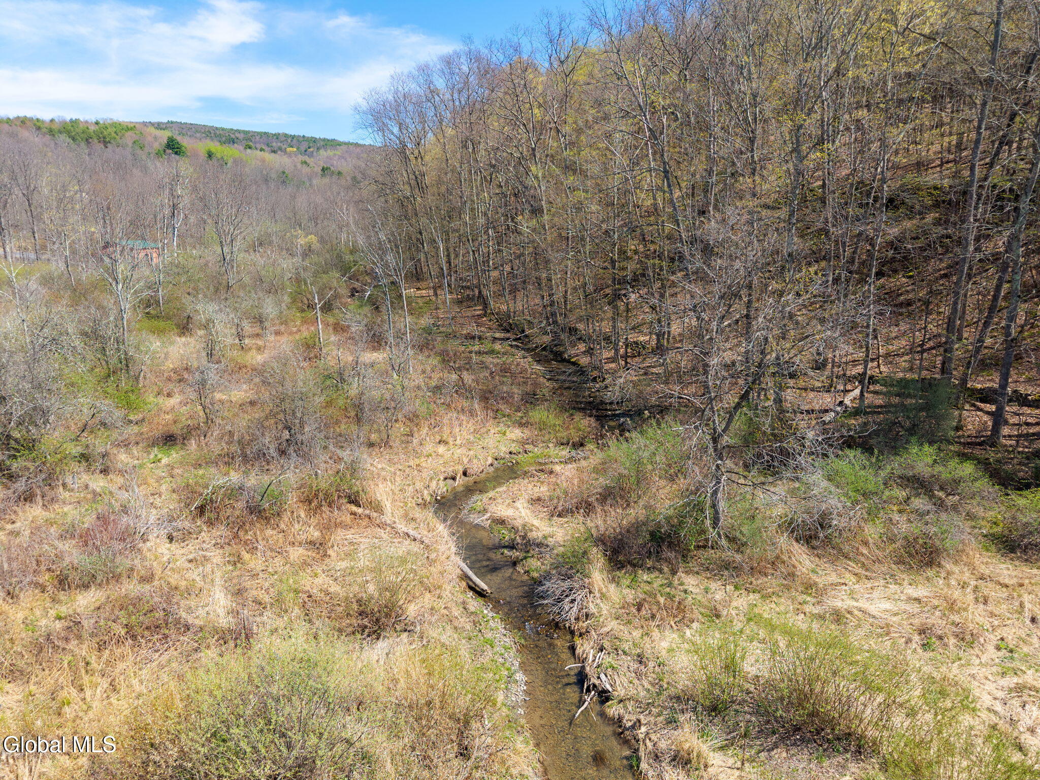 L40 Brown Road Warnerville NY 12187