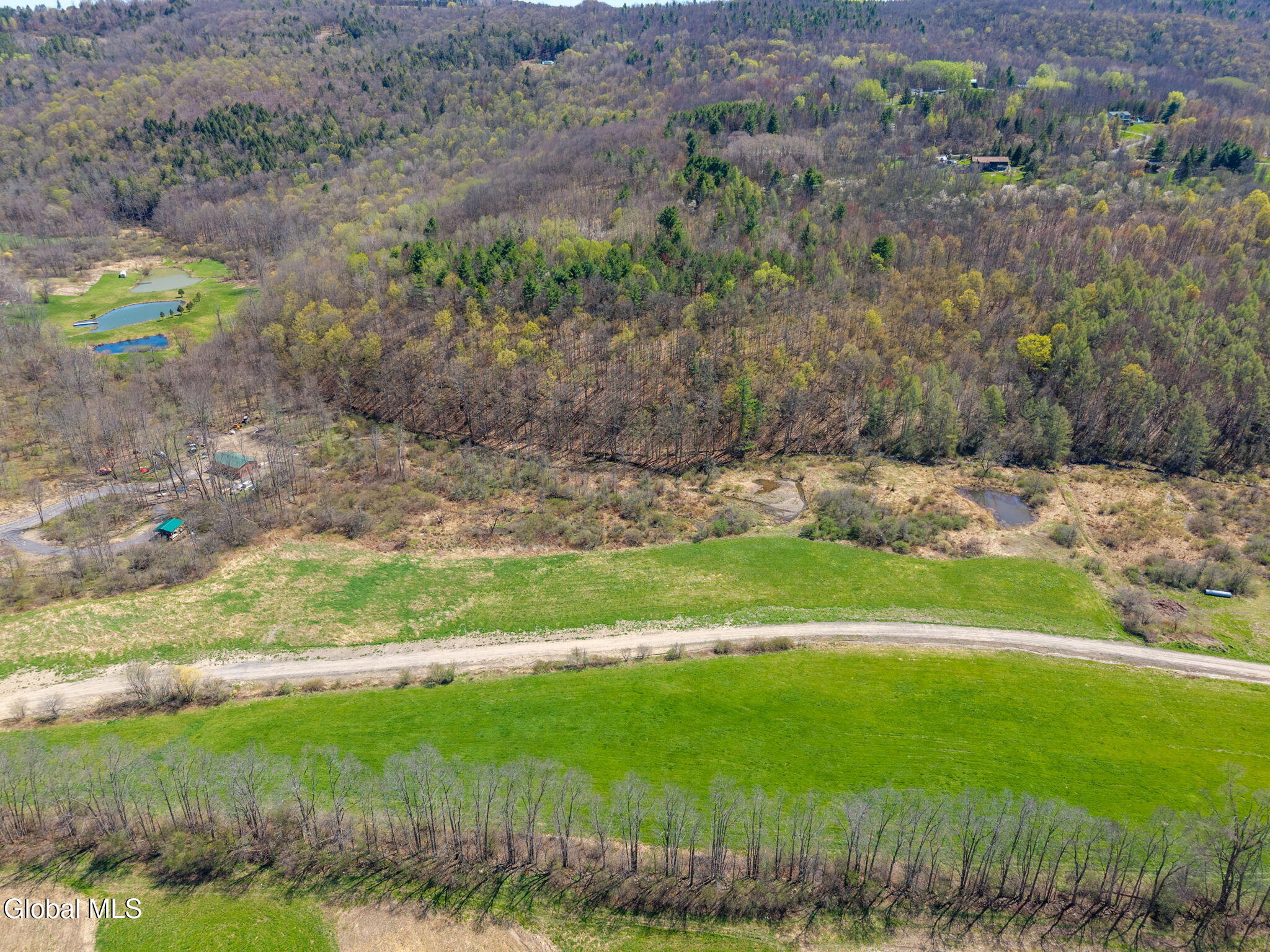 L40 Brown Road Warnerville NY 12187
