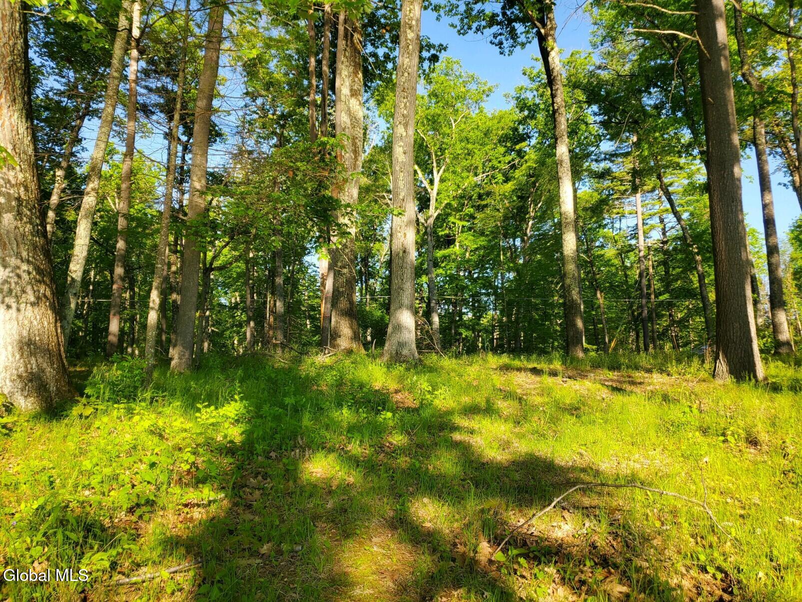 18 Nacy Road Lake George NY 12845