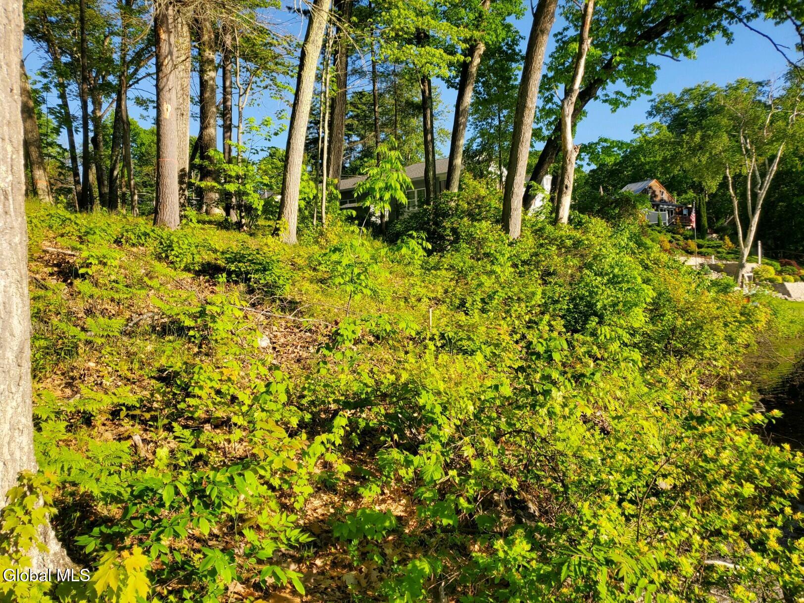 18 Nacy Road Lake George NY 12845
