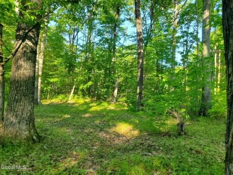 18 Nacy Road Lake George NY 12845