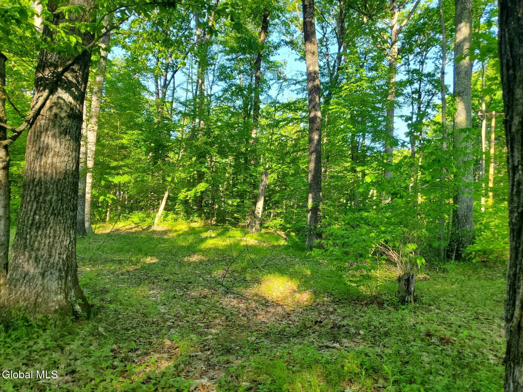 18 Nacy Road Lake George NY 12845