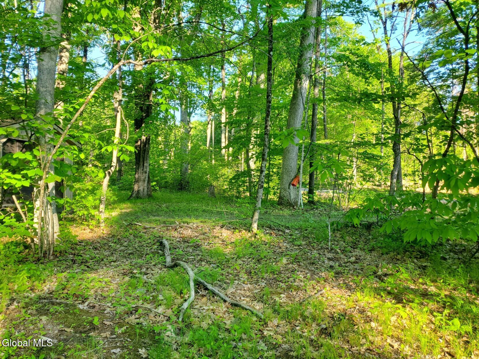 18 Nacy Road Lake George NY 12845