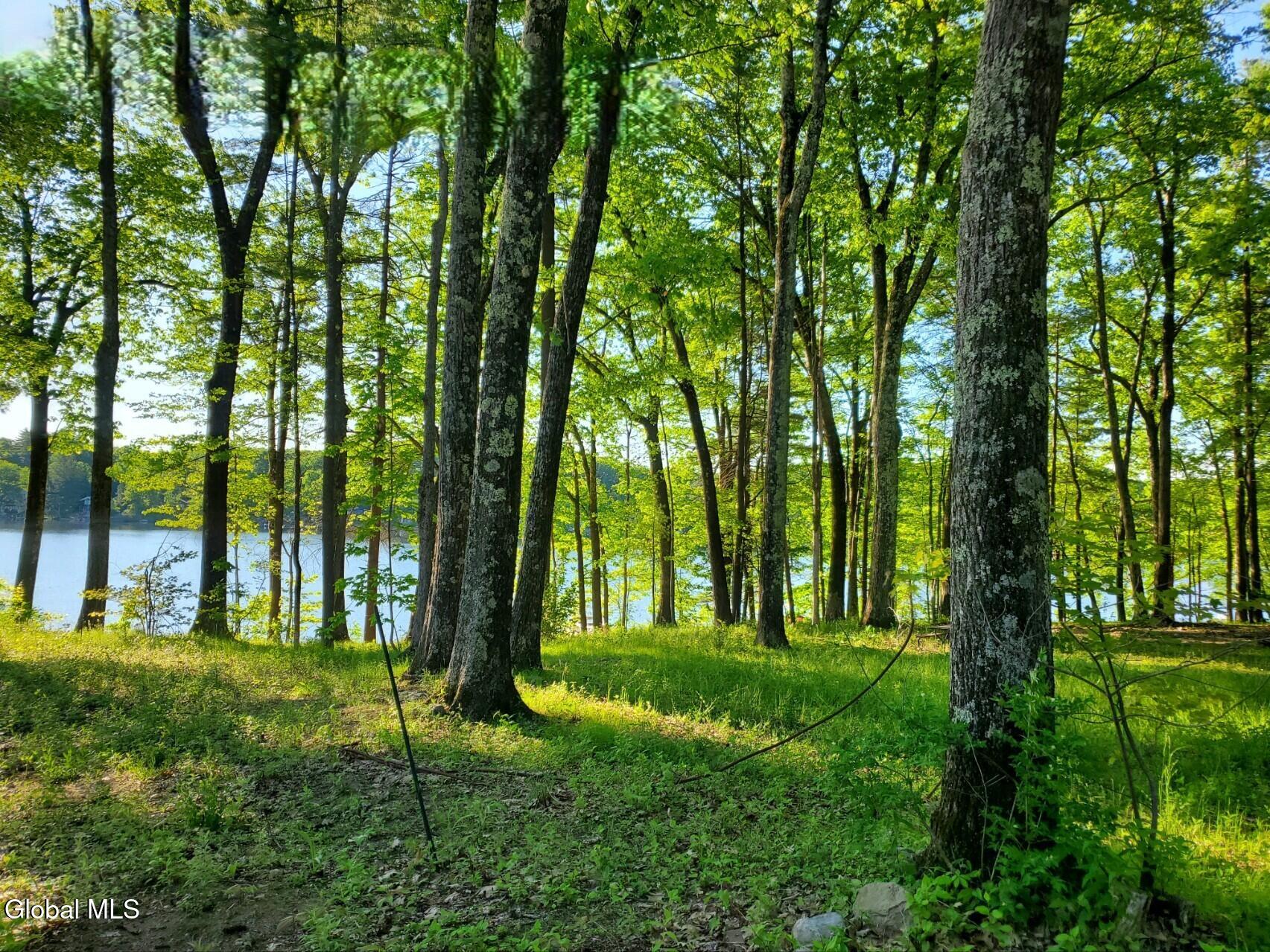 18 Nacy Road Lake George NY 12845