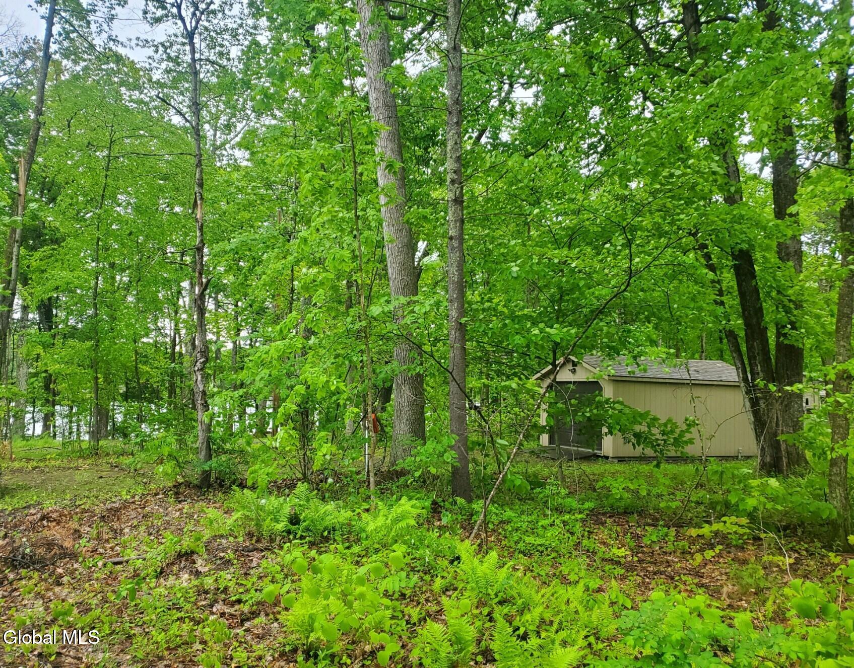 18 Nacy Road Lake George NY 12845