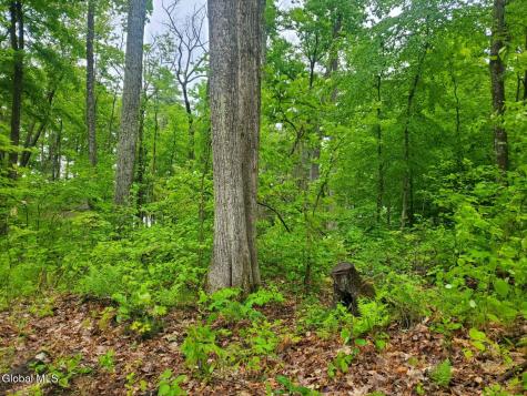 18 Nacy Road Lake George NY 12845