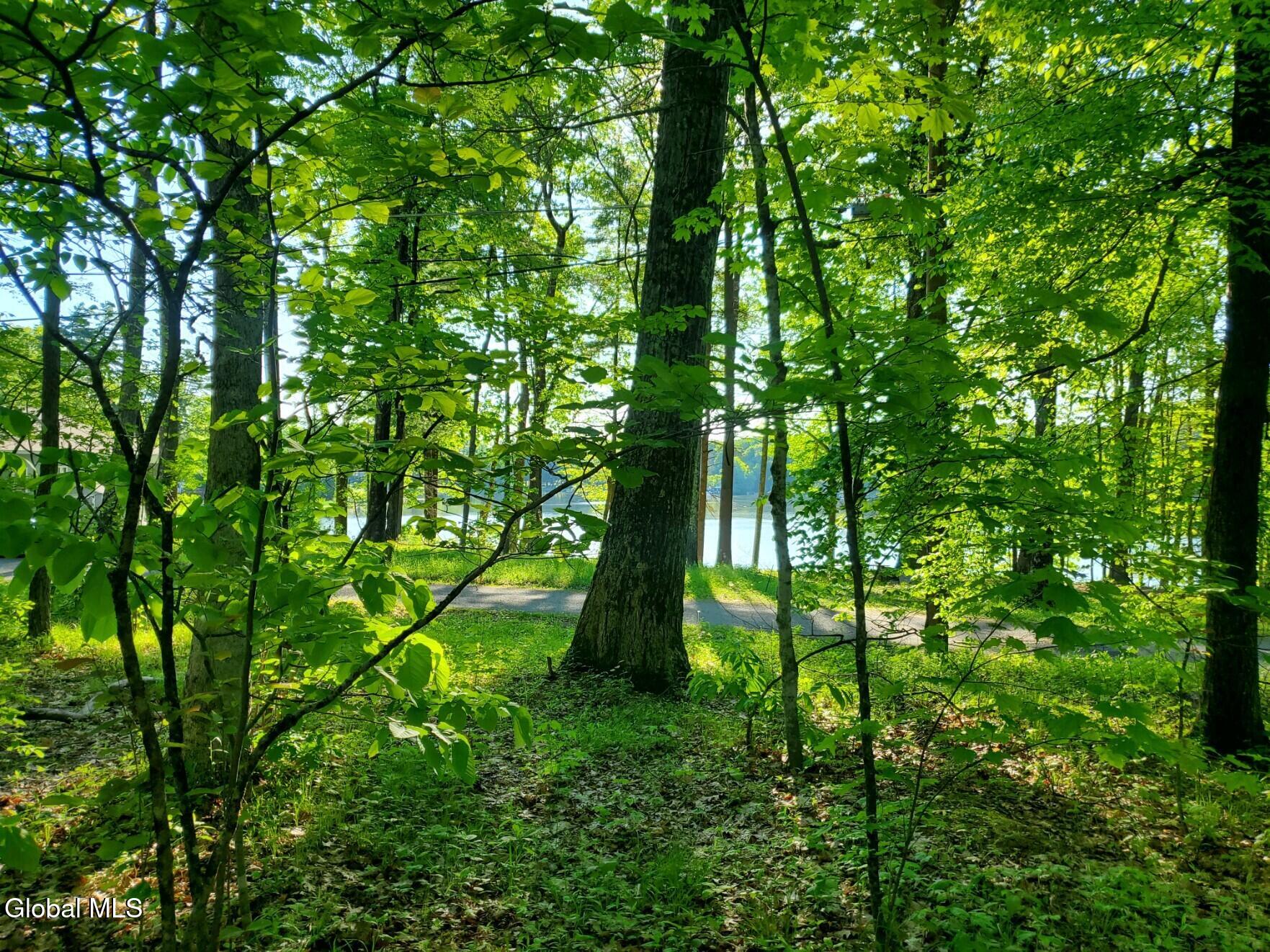 18 Nacy Road Lake George NY 12845