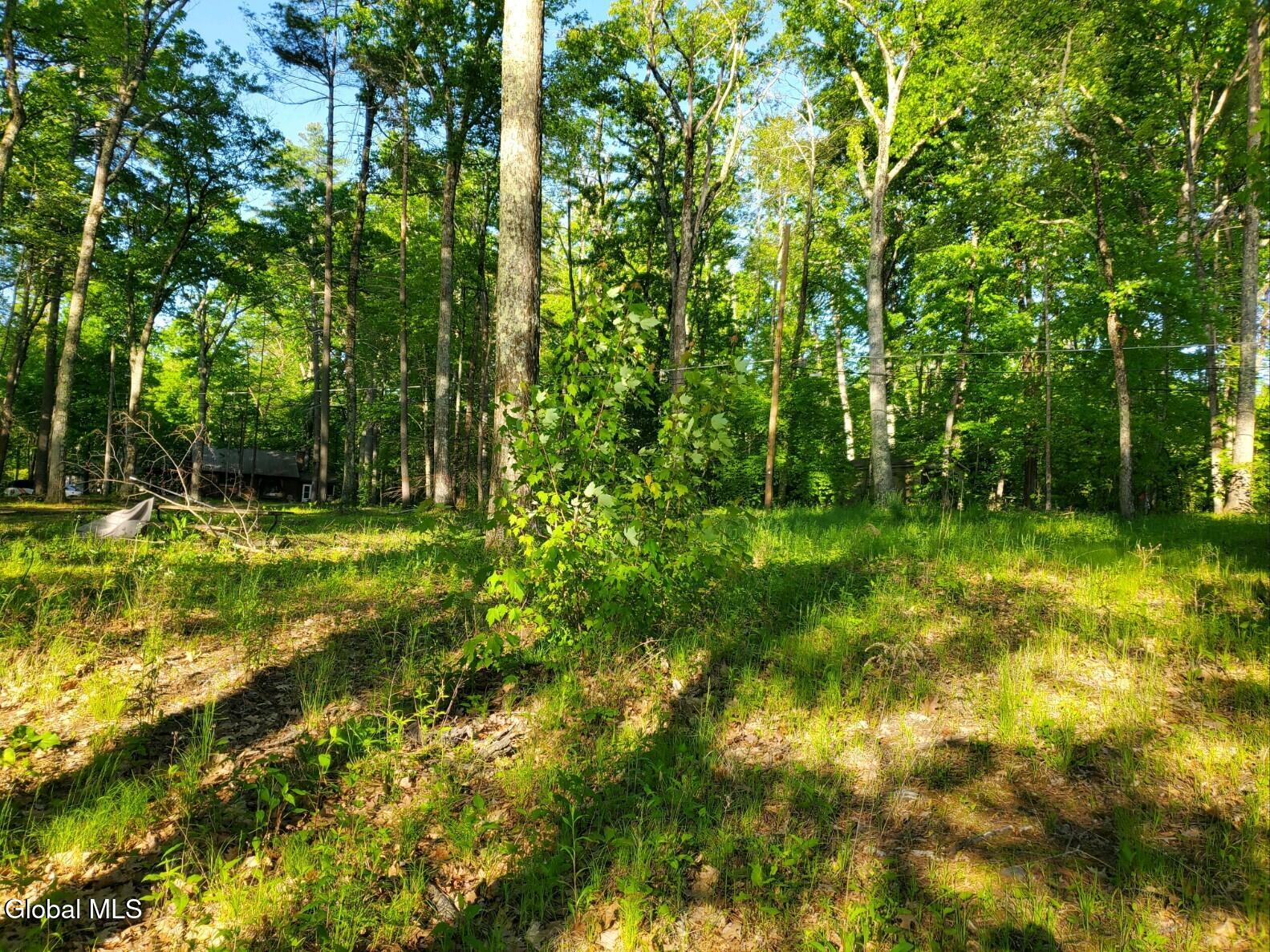 18 Nacy Road Lake George NY 12845