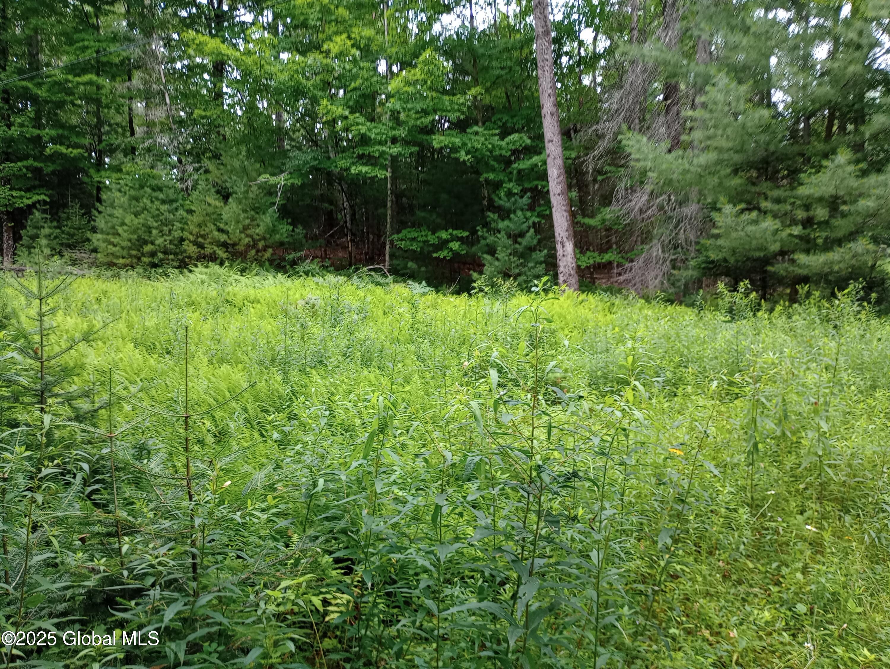 L30 Lane Road Minerva NY 12853