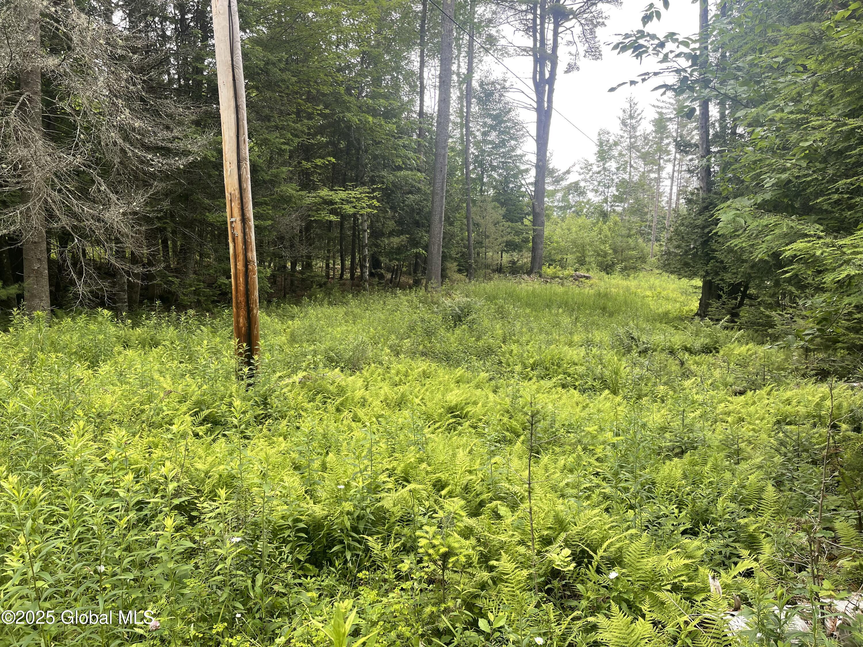 L30 Lane Road Minerva NY 12853