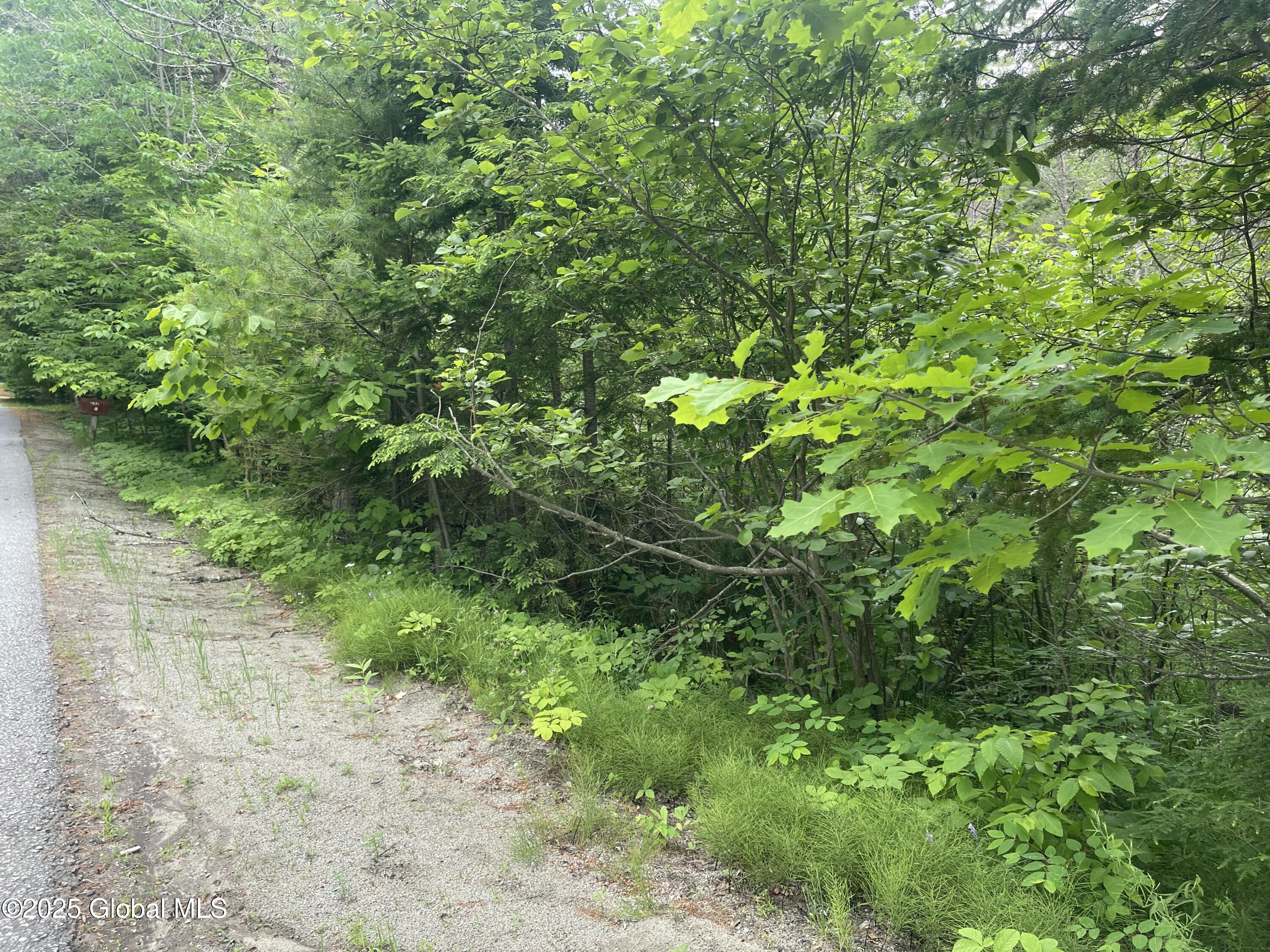 L30 Lane Road Minerva NY 12853