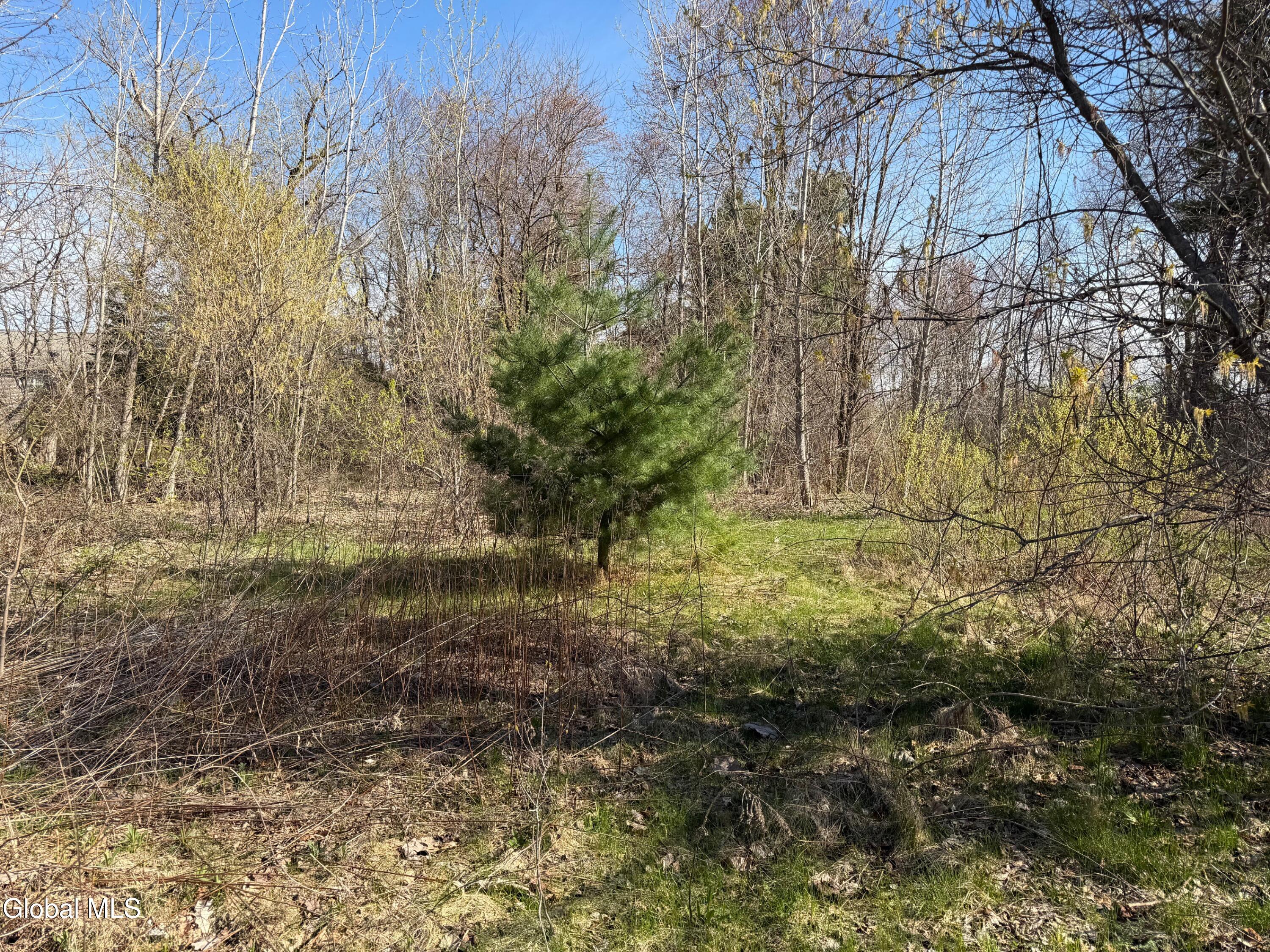 16 Homer Avenue Queensbury NY 12804