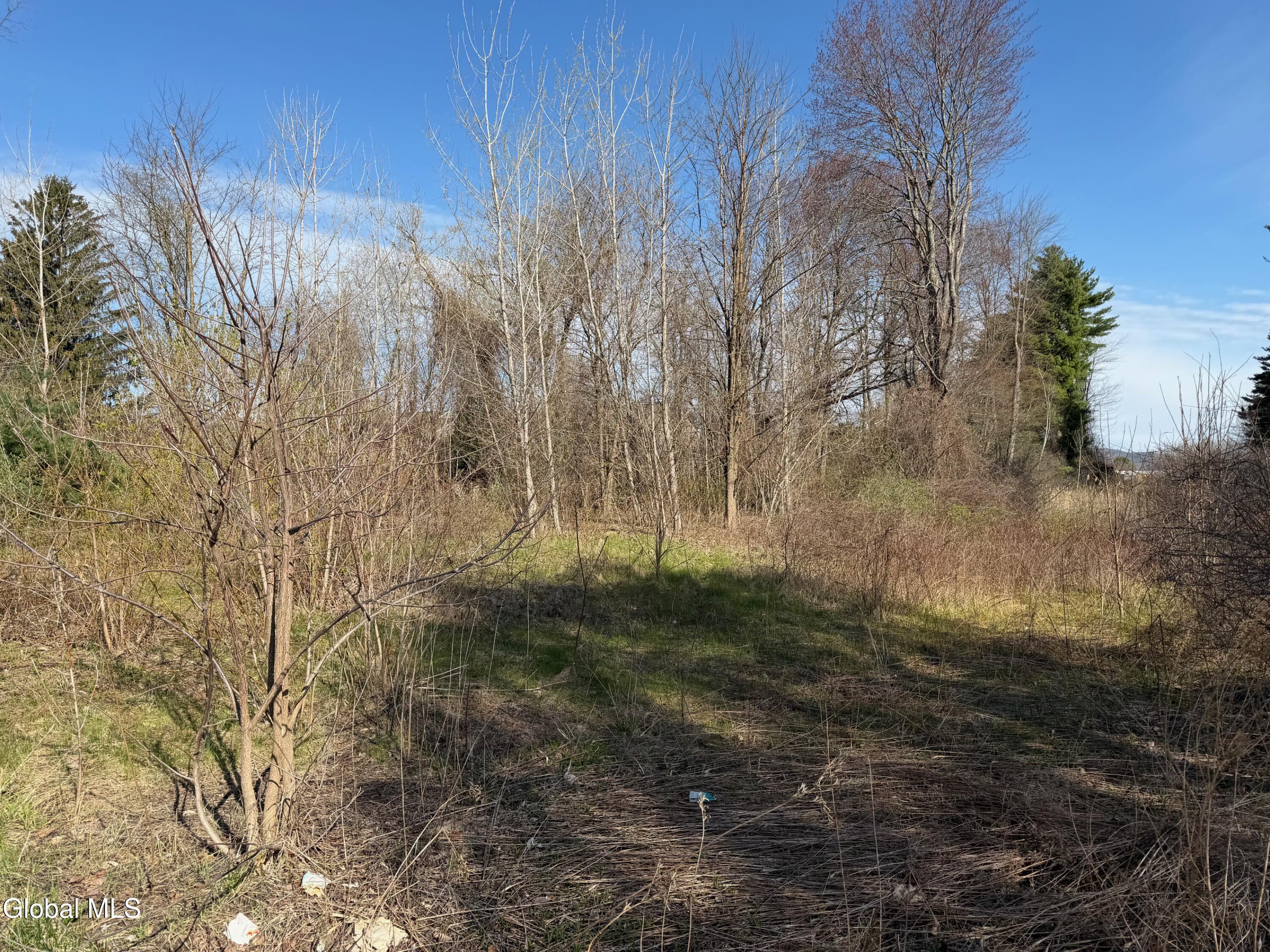 16 Homer Avenue Queensbury NY 12804