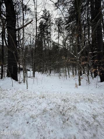 L19 River Road Thurman NY 12885