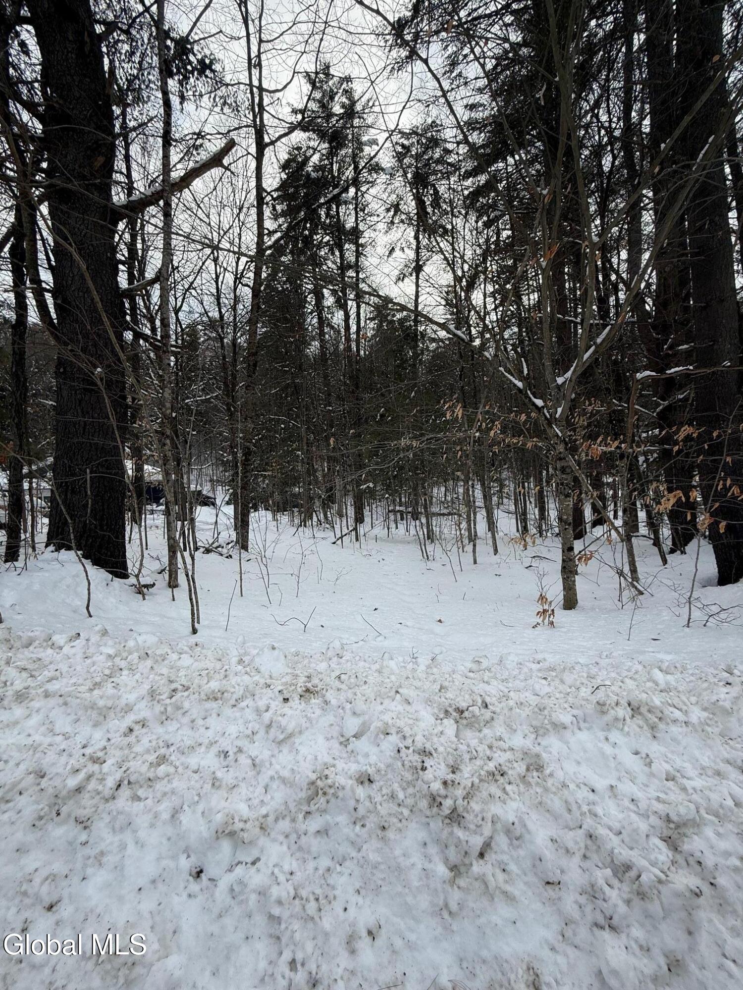 L19 River Road Thurman NY 12885