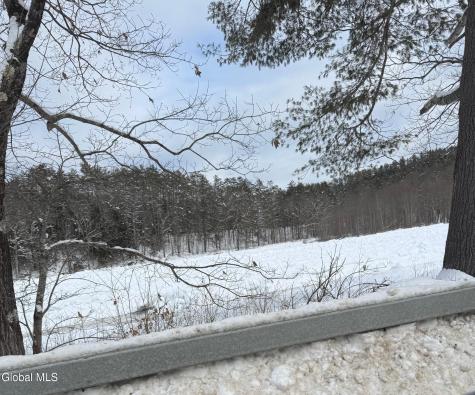 L19 River Road Thurman NY 12885
