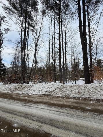L19 River Road Thurman NY 12885