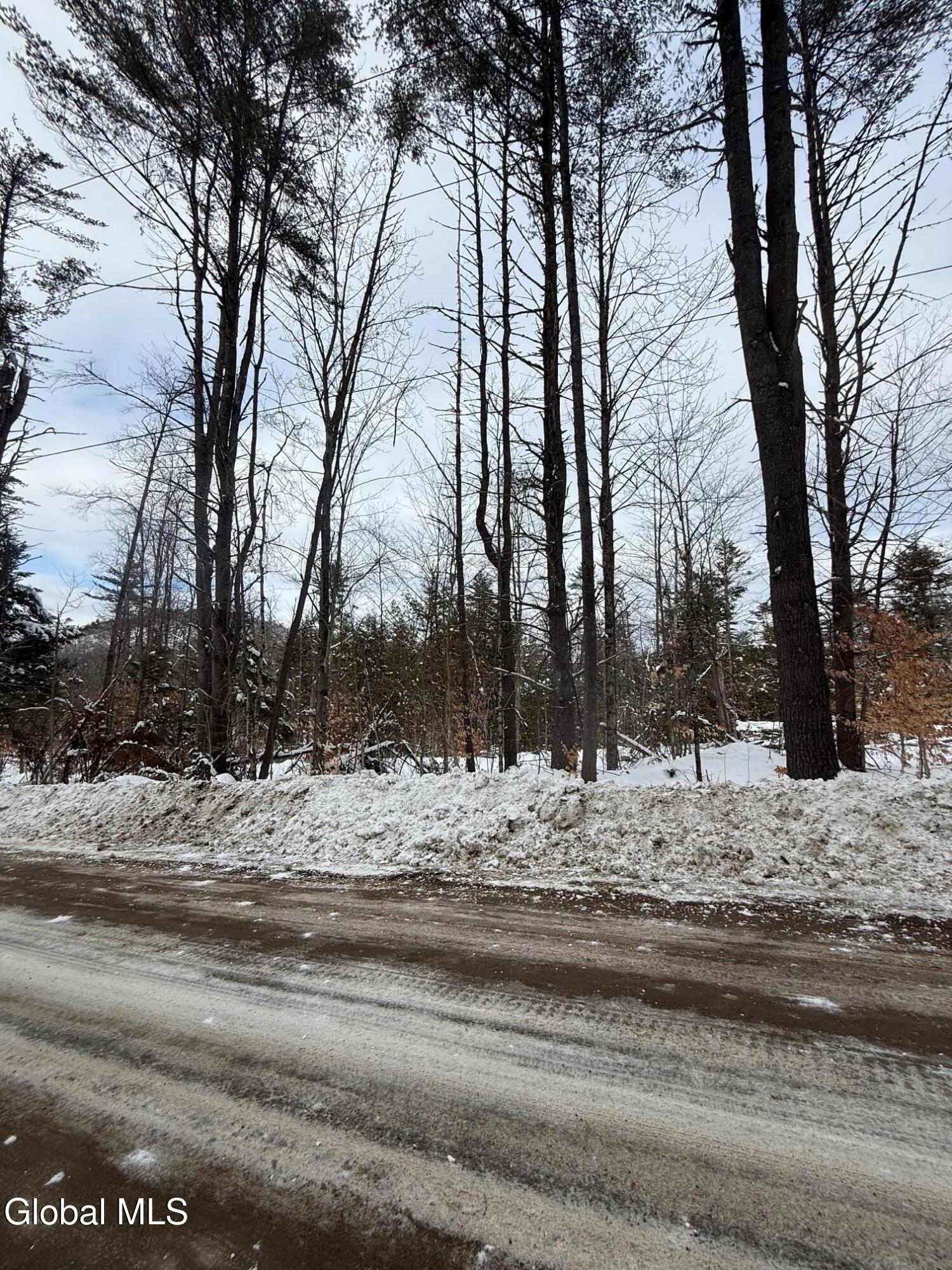 L19 River Road Thurman NY 12885