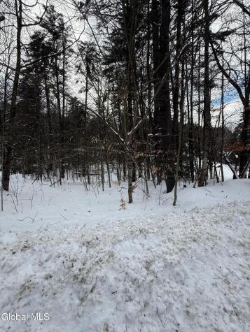 L19 River Road Thurman NY 12885
