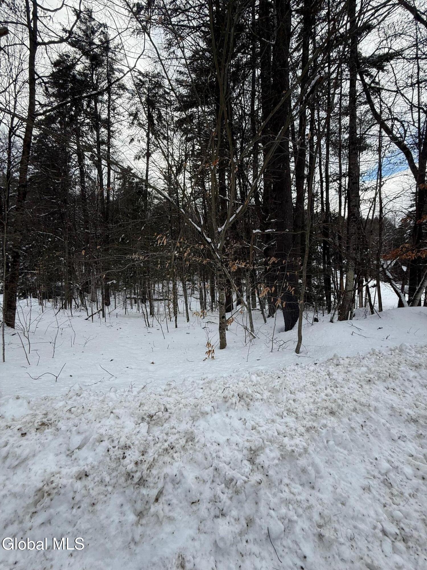 L19 River Road Thurman NY 12885