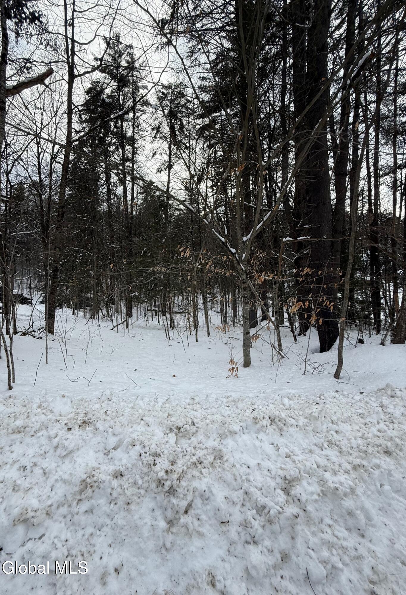 L19 River Road Thurman NY 12885