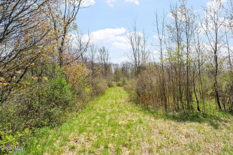 L 8.2 Salsburg Road Delanson NY 12053