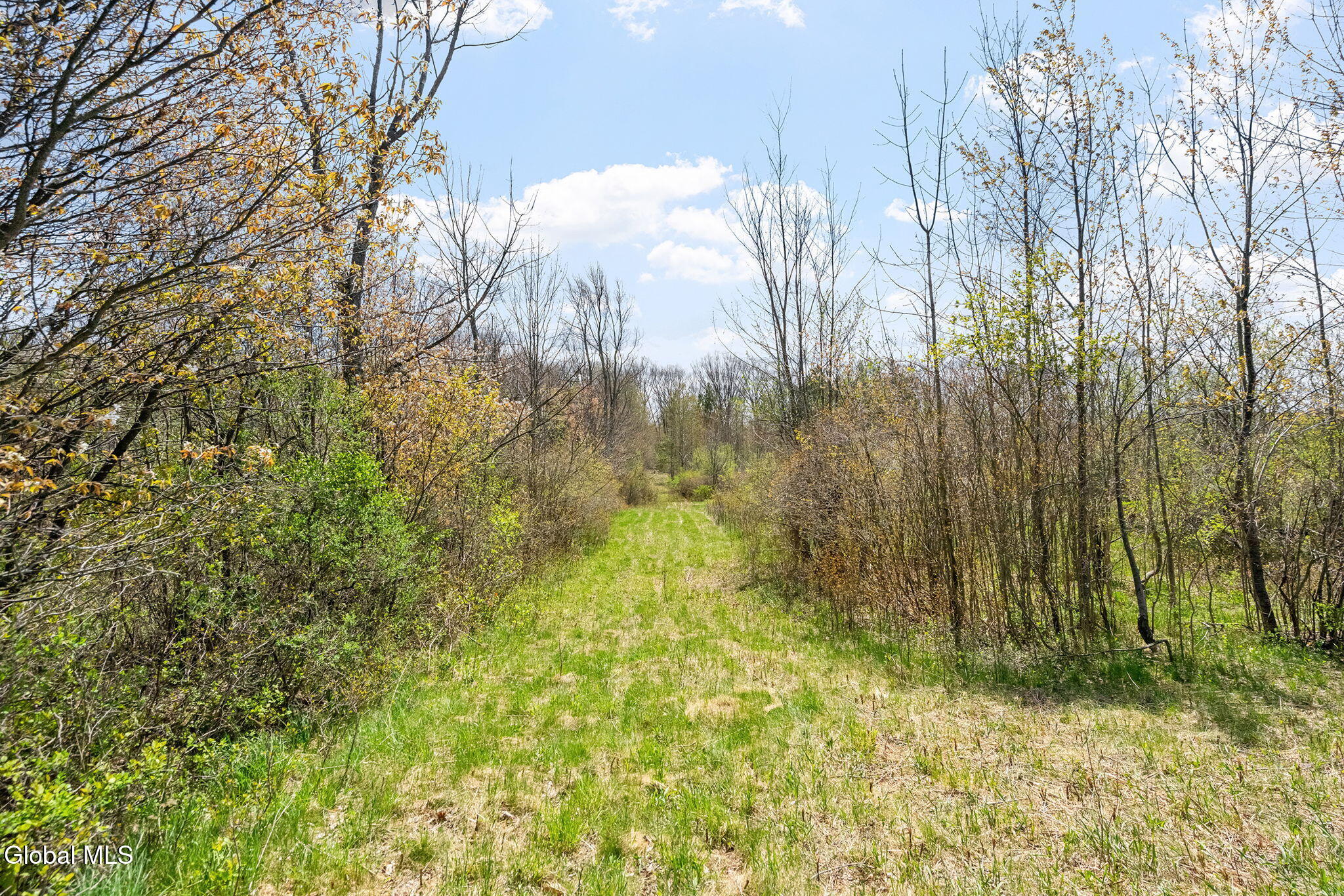 L 8.2 Salsburg Road Delanson NY 12053