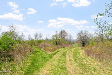 L 8.2 Salsburg Road Delanson NY 12053