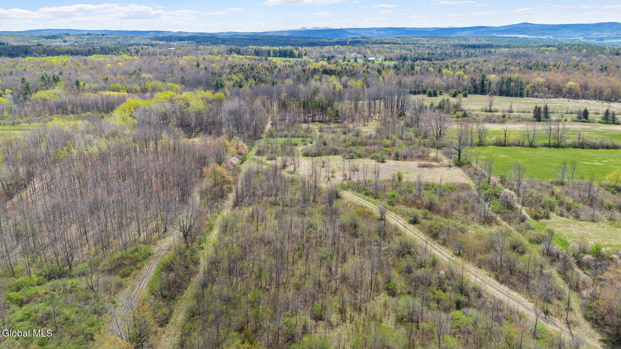 L 8.2 Salsburg Road Delanson NY 12053