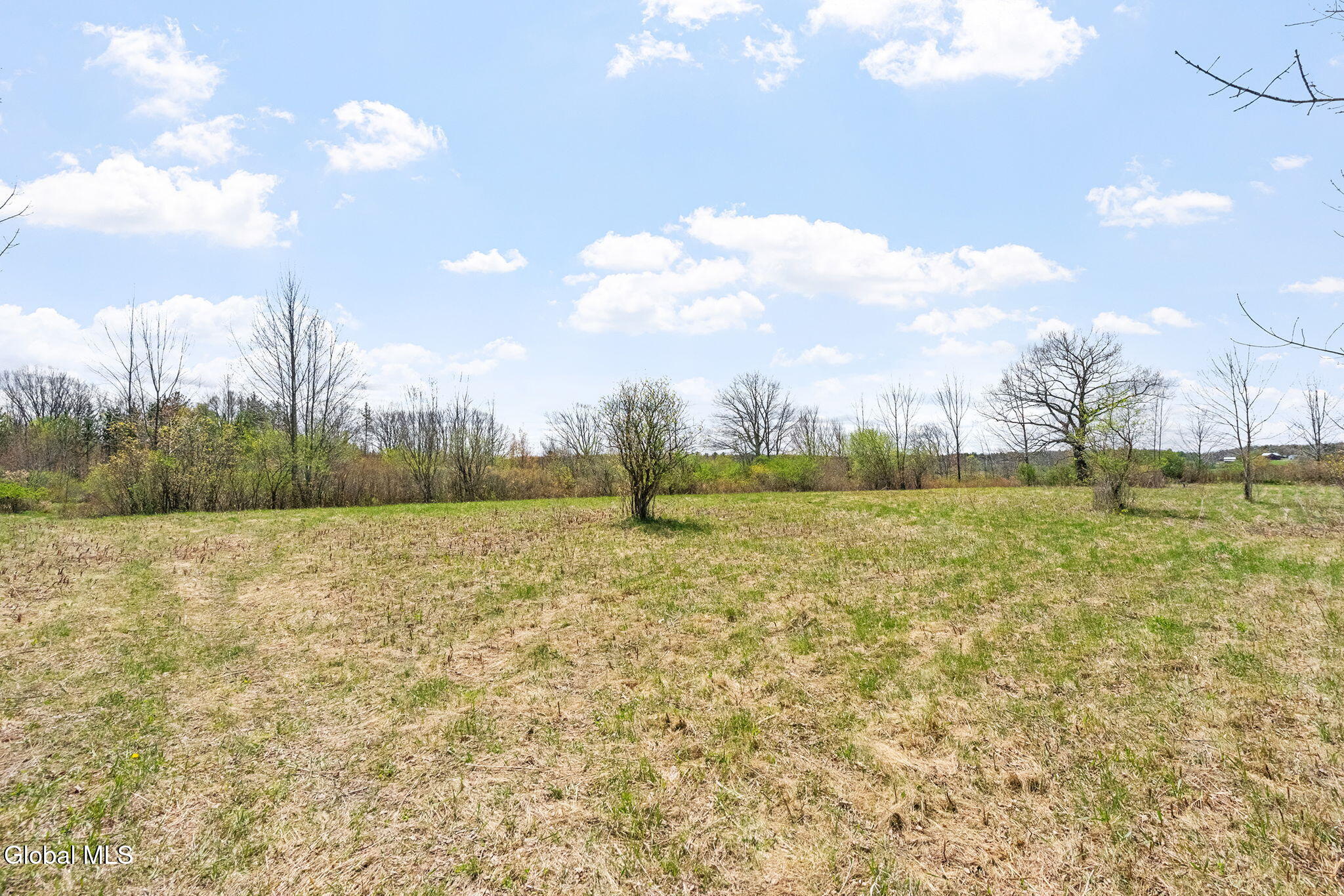 L 8.2 Salsburg Road Delanson NY 12053