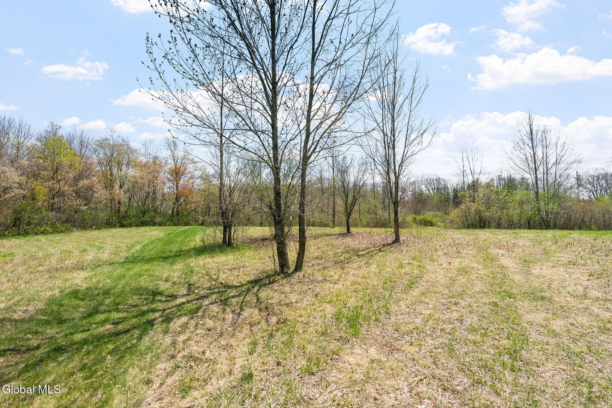 L 8.2 Salsburg Road Delanson NY 12053