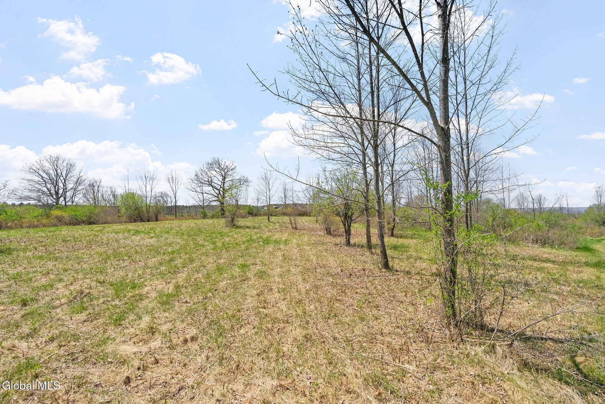 L 8.2 Salsburg Road Delanson NY 12053